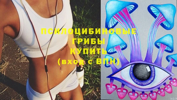 хмурый Кодинск